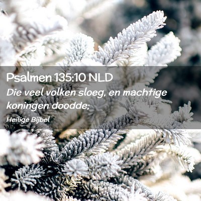 Picture 02 - Psalmen 135:10 NLD - Die veel volken sloeg, en machtige koningen - Bible Verse Picture