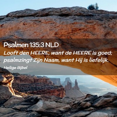 Picture 02 - Psalmen 135:3 NLD - Looft den HEERE, want de HEERE is goed; - Bible Verse Picture