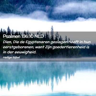 Picture 02 - Psalmen 136:10 NLD - Dien, Die de Egyptenaren geslagen heeft in hun - Bible Verse Picture