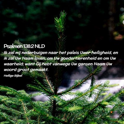 Picture 02 - Psalmen 138:2 NLD - Ik zal mij nederbuigen naar het paleis Uwer - Bible Verse Picture