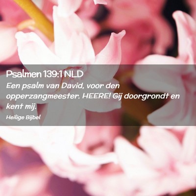Picture 02 - Psalmen 139:1 NLD - Een psalm van David, voor den opperzangmeester. - Bible Verse Picture