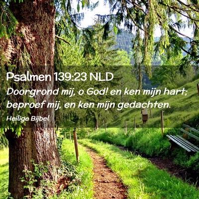 Picture 02 - Psalmen 139:23 NLD - Doorgrond mij, o God! en ken mijn hart; beproef - Bible Verse Picture