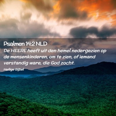 Picture 02 - Psalmen 14:2 NLD - De HEERE heeft uit den hemel nedergezien op de - Bible Verse Picture