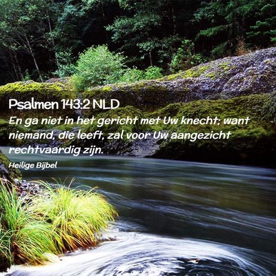 Picture 02 - Psalmen 143:2 NLD - En ga niet in het gericht met Uw knecht; want - Bible Verse Picture