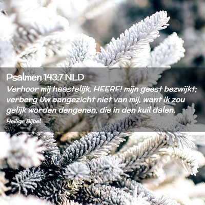 Picture 02 - Psalmen 143:7 NLD - Verhoor mij haastelijk, HEERE! mijn geest - Bible Verse Picture