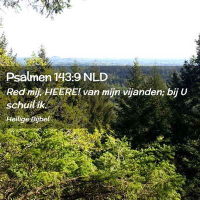 Picture 02 - Psalmen 143:9 NLD - Red mij, HEERE! van mijn vijanden; bij U schuil - Bible Verse Picture