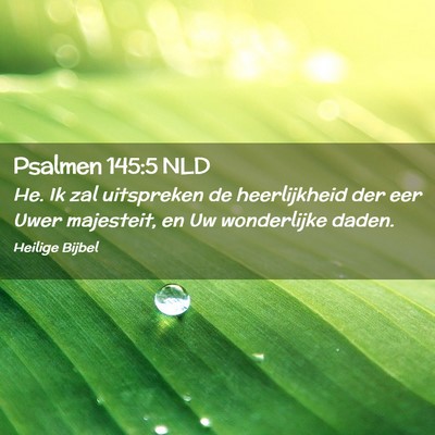 Picture 02 - Psalmen 145:5 NLD - He. Ik zal uitspreken de heerlijkheid der eer - Bible Verse Picture