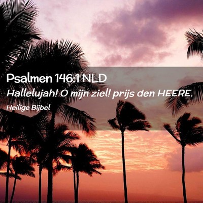 Picture 02 - Psalmen 146:1 NLD - Hallelujah! O mijn ziel! prijs den - Bible Verse Picture