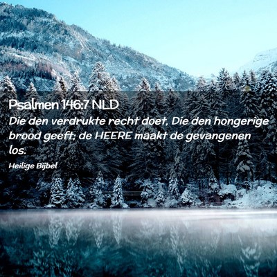 Picture 02 - Psalmen 146:7 NLD - Die den verdrukte recht doet, Die den hongerige - Bible Verse Picture