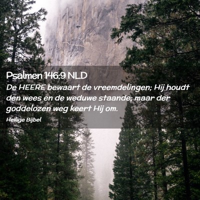 Picture 02 - Psalmen 146:9 NLD - De HEERE bewaart de vreemdelingen; Hij houdt den - Bible Verse Picture