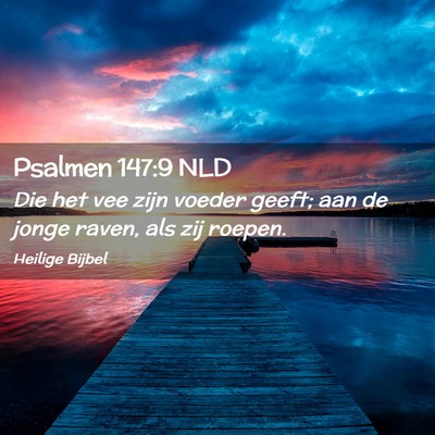 Picture 02 - Psalmen 147:9 NLD - Die het vee zijn voeder geeft; aan de jonge - Bible Verse Picture