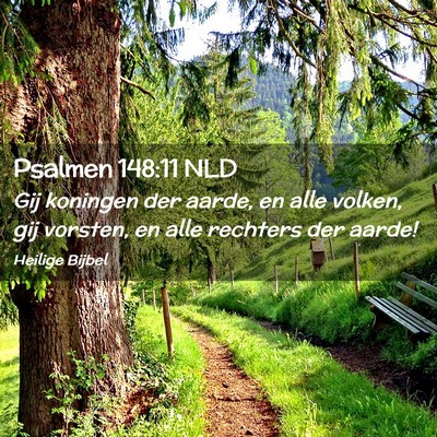 Picture 02 - Psalmen 148:11 NLD - Gij koningen der aarde, en alle volken, gij - Bible Verse Picture