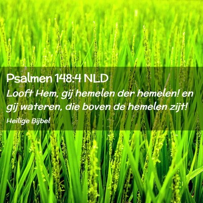 Picture 02 - Psalmen 148:4 NLD - Looft Hem, gij hemelen der hemelen! en gij - Bible Verse Picture