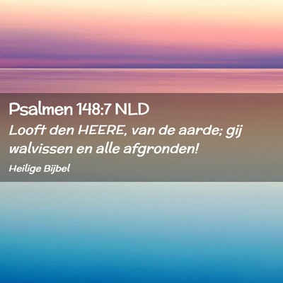 Picture 02 - Psalmen 148:7 NLD - Looft den HEERE, van de aarde; gij walvissen en - Bible Verse Picture