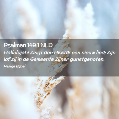 Picture 02 - Psalmen 149:1 NLD - Hallelujah! Zingt den HEERE een nieuw lied; Zijn - Bible Verse Picture
