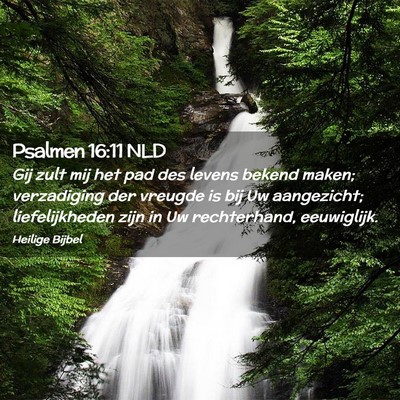 Picture 02 - Psalmen 16:11 NLD - Gij zult mij het pad des levens bekend maken; - Bible Verse Picture