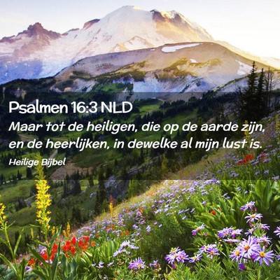 Picture 02 - Psalmen 16:3 NLD - Maar tot de heiligen, die op de aarde zijn, en de - Bible Verse Picture