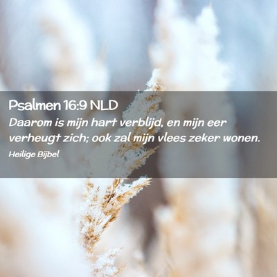 Picture 02 - Psalmen 16:9 NLD - Daarom is mijn hart verblijd, en mijn eer - Bible Verse Picture