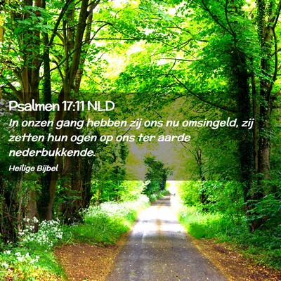 Picture 02 - Psalmen 17:11 NLD - In onzen gang hebben zij ons nu omsingeld, zij - Bible Verse Picture