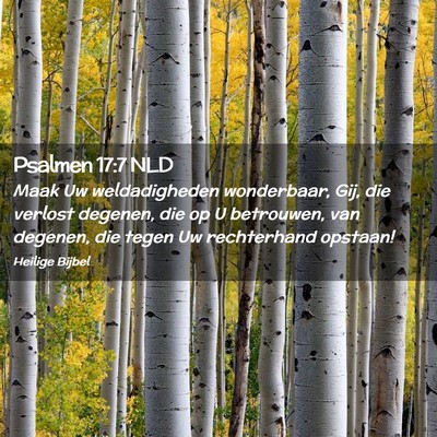 Picture 02 - Psalmen 17:7 NLD - Maak Uw weldadigheden wonderbaar, Gij, die - Bible Verse Picture