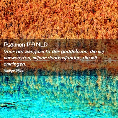 Picture 02 - Psalmen 17:9 NLD - Voor het aangezicht der goddelozen, die mij - Bible Verse Picture