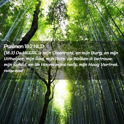 Picture 02 - Psalmen 18:2 NLD - (18:3) De HEERE is mijn Steenrots, en mijn Burg, - Bible Verse Picture