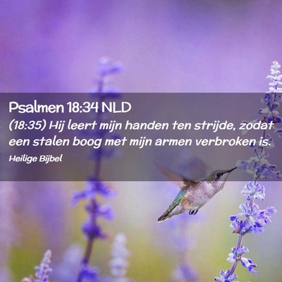 Picture 02 - Psalmen 18:34 NLD - (18:35) Hij leert mijn handen ten strijde, zodat - Bible Verse Picture