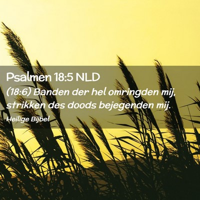 Picture 02 - Psalmen 18:5 NLD - (18:6) Banden der hel omringden mij, strikken des - Bible Verse Picture