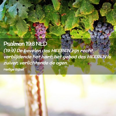 Picture 02 - Psalmen 19:8 NLD - (19:9) De bevelen des HEEREN zijn recht, - Bible Verse Picture