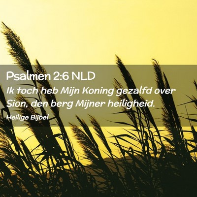 Picture 02 - Psalmen 2:6 NLD - Ik toch heb Mijn Koning gezalfd over Sion, den - Bible Verse Picture