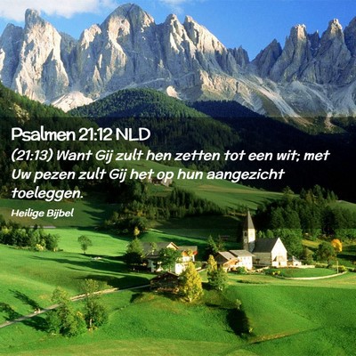 Picture 02 - Psalmen 21:12 NLD - (21:13) Want Gij zult hen zetten tot een wit; met - Bible Verse Picture