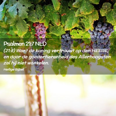Picture 02 - Psalmen 21:7 NLD - (21:8) Want de koning vertrouwt op den HEERE, en - Bible Verse Picture