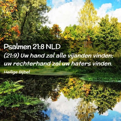 Picture 02 - Psalmen 21:8 NLD - (21:9) Uw hand zal alle vijanden vinden; uw - Bible Verse Picture