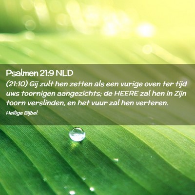 Picture 02 - Psalmen 21:9 NLD - (21:10) Gij zult hen zetten als een vurige oven - Bible Verse Picture