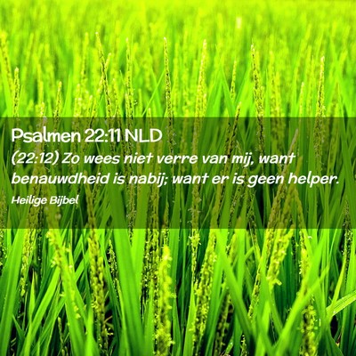 Picture 02 - Psalmen 22:11 NLD - (22:12) Zo wees niet verre van mij, want - Bible Verse Picture