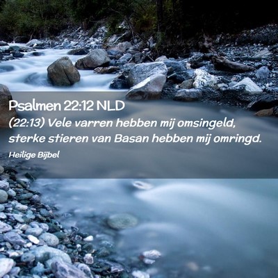 Picture 02 - Psalmen 22:12 NLD - (22:13) Vele varren hebben mij omsingeld, sterke - Bible Verse Picture