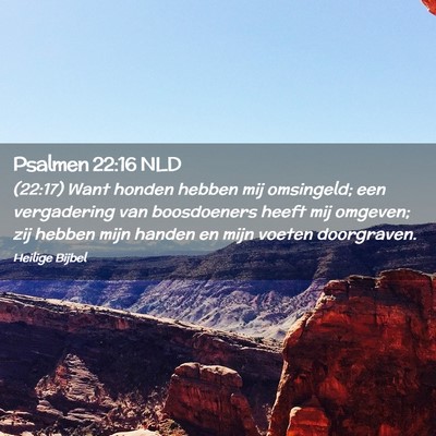 Picture 02 - Psalmen 22:16 NLD - (22:17) Want honden hebben mij omsingeld; een - Bible Verse Picture