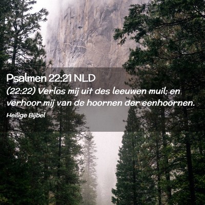 Picture 02 - Psalmen 22:21 NLD - (22:22) Verlos mij uit des leeuwen muil; en - Bible Verse Picture