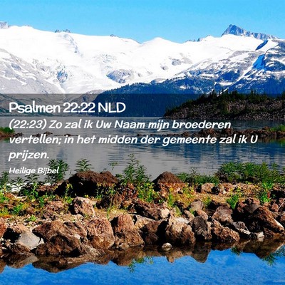 Picture 02 - Psalmen 22:22 NLD - (22:23) Zo zal ik Uw Naam mijn broederen - Bible Verse Picture