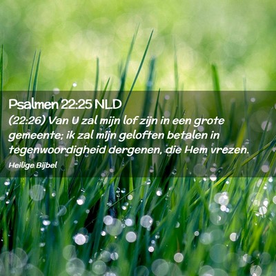 Picture 02 - Psalmen 22:25 NLD - (22:26) Van U zal mijn lof zijn in een grote - Bible Verse Picture