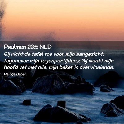 Picture 02 - Psalmen 23:5 NLD - Gij richt de tafel toe voor mijn aangezicht, - Bible Verse Picture