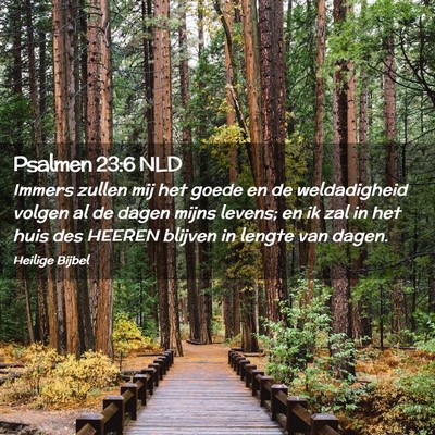 Picture 02 - Psalmen 23:6 NLD - Immers zullen mij het goede en de weldadigheid - Bible Verse Picture