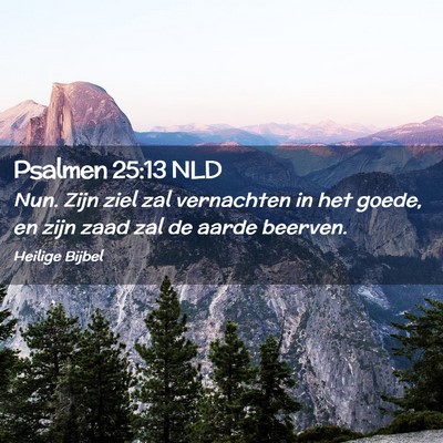 Picture 02 - Psalmen 25:13 NLD - Nun. Zijn ziel zal vernachten in het goede, en - Bible Verse Picture