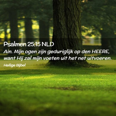 Picture 02 - Psalmen 25:15 NLD - Ain. Mijn ogen zijn geduriglijk op den HEERE, - Bible Verse Picture
