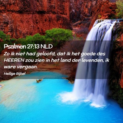 Picture 02 - Psalmen 27:13 NLD - Zo ik niet had geloofd, dat ik het goede des - Bible Verse Picture