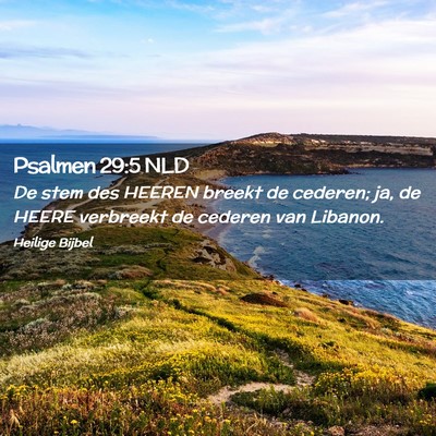 Picture 02 - Psalmen 29:5 NLD - De stem des HEEREN breekt de cederen; ja, de - Bible Verse Picture