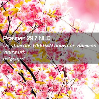 Picture 02 - Psalmen 29:7 NLD - De stem des HEEREN houwt er vlammen vuurs - Bible Verse Picture