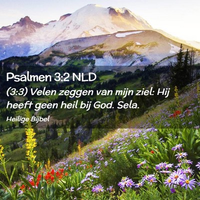 Picture 02 - Psalmen 3:2 NLD - (3:3) Velen zeggen van mijn ziel: Hij heeft geen - Bible Verse Picture