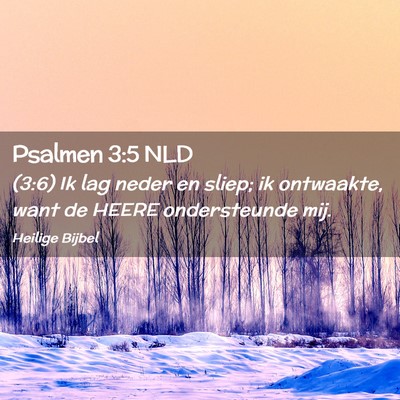 Picture 02 - Psalmen 3:5 NLD - (3:6) Ik lag neder en sliep; ik ontwaakte, want - Bible Verse Picture