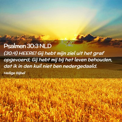 Picture 02 - Psalmen 30:3 NLD - (30:4) HEERE! Gij hebt mijn ziel uit het graf - Bible Verse Picture